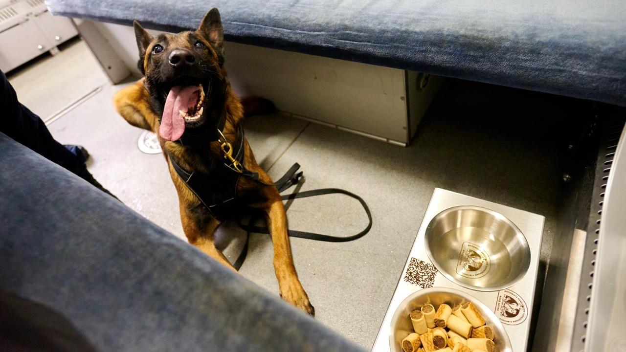 RazomUA - 100 «wagons de la résilience» : comment Ukrzaliznytsia a transformé des wagons hors d'usage en hubs mobiles équipés de Starlink