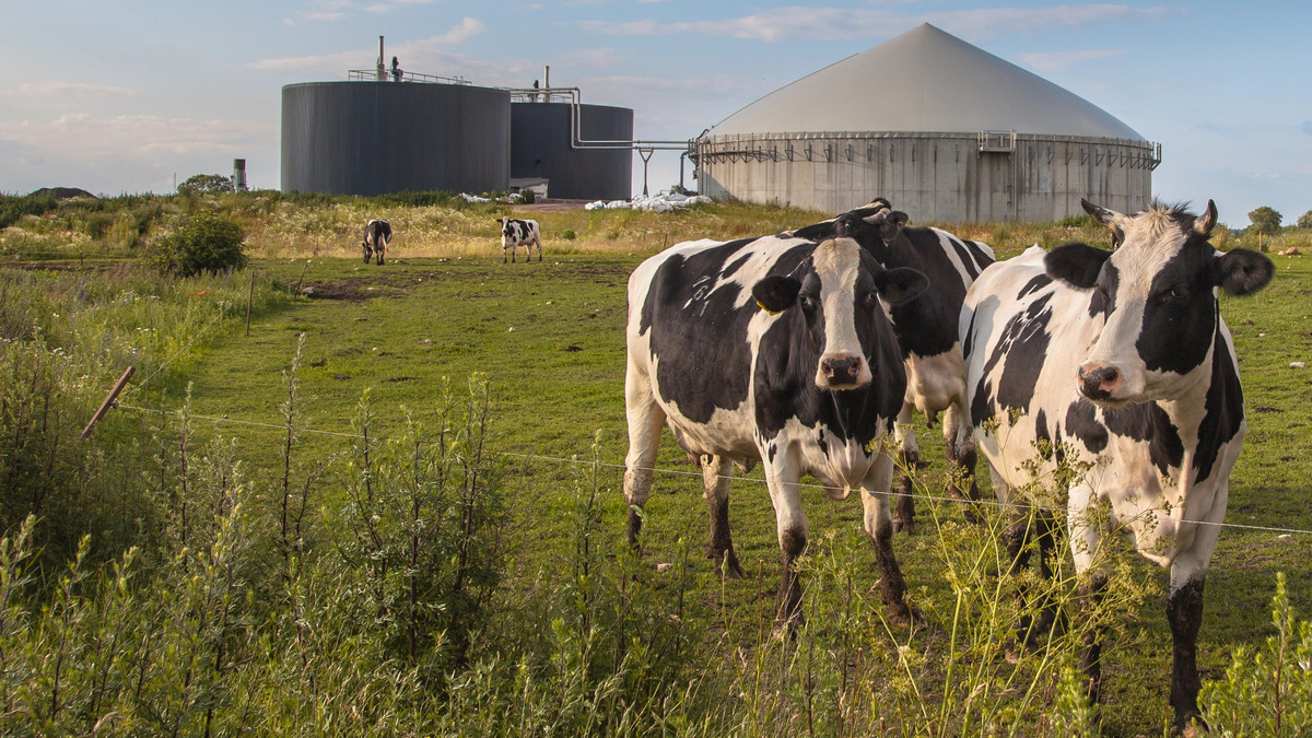 RazomUA - Erstes Jahr des Biomethan-Exports: 11,2 Mio. m³ und wie MHP das energiepolitische Image der Ukraine in der EU stärkt