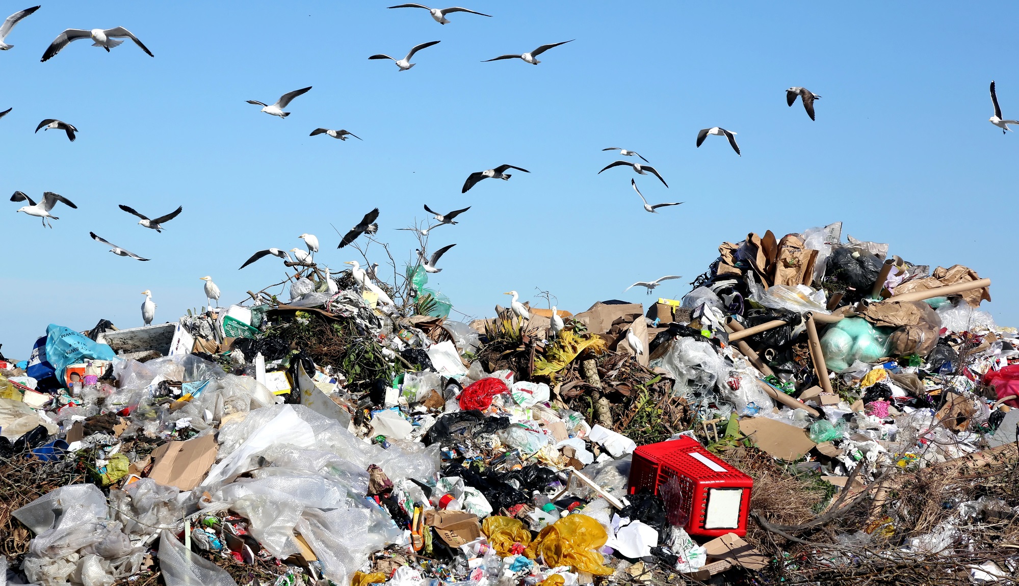 RazomUA - New rules for waste: how changes in waste management will affect communities and bring Ukraine closer to EU standards