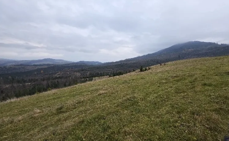 RazomUA - АРМА скасувало аукціон на 460 га Боржави — ризик повернення активів і звернення до НАБУ