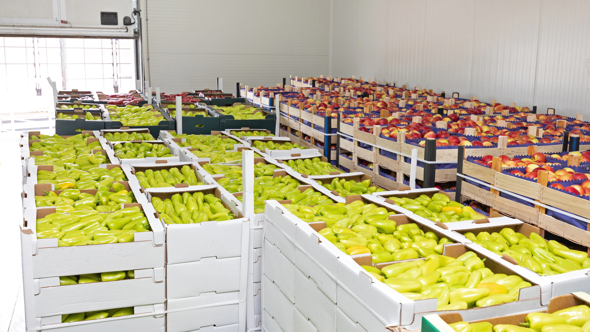 RazomUA - State to cover up to 30% of costs for vegetable and fruit storage facilities — how this will protect crops and jobs