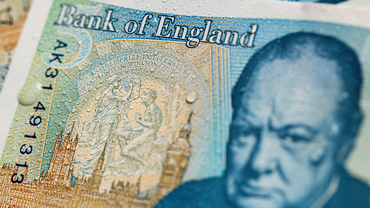 RazomUA - Банк Англії міняє Черчилля на дику природу — символічний редизайн і його наслідки