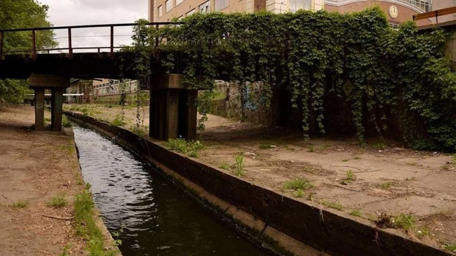 RazomUA - Верховний Суд зобов’язав знести автомийку й шиномонтаж на Либеді — земля вартістю 9 млн грн повертається громаді