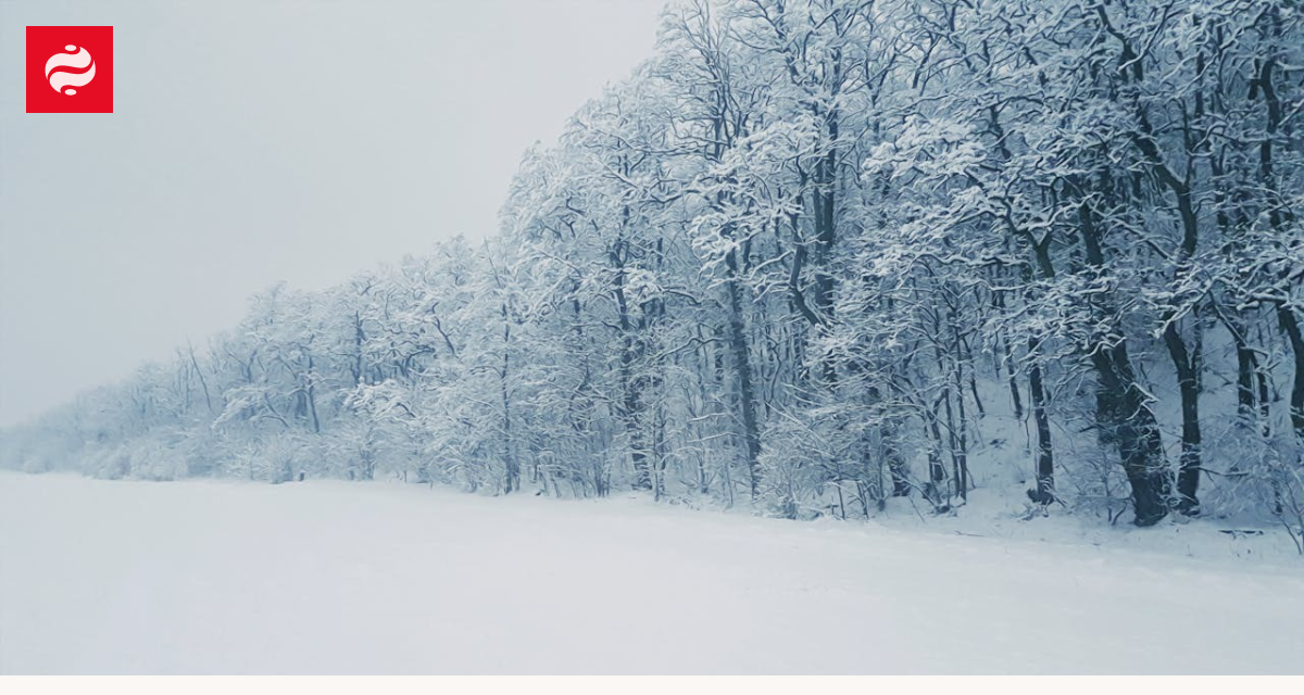 RazomUA - More than 100 cars on I‑196: winter storm paralyzed a section in Michigan — lessons for road safety