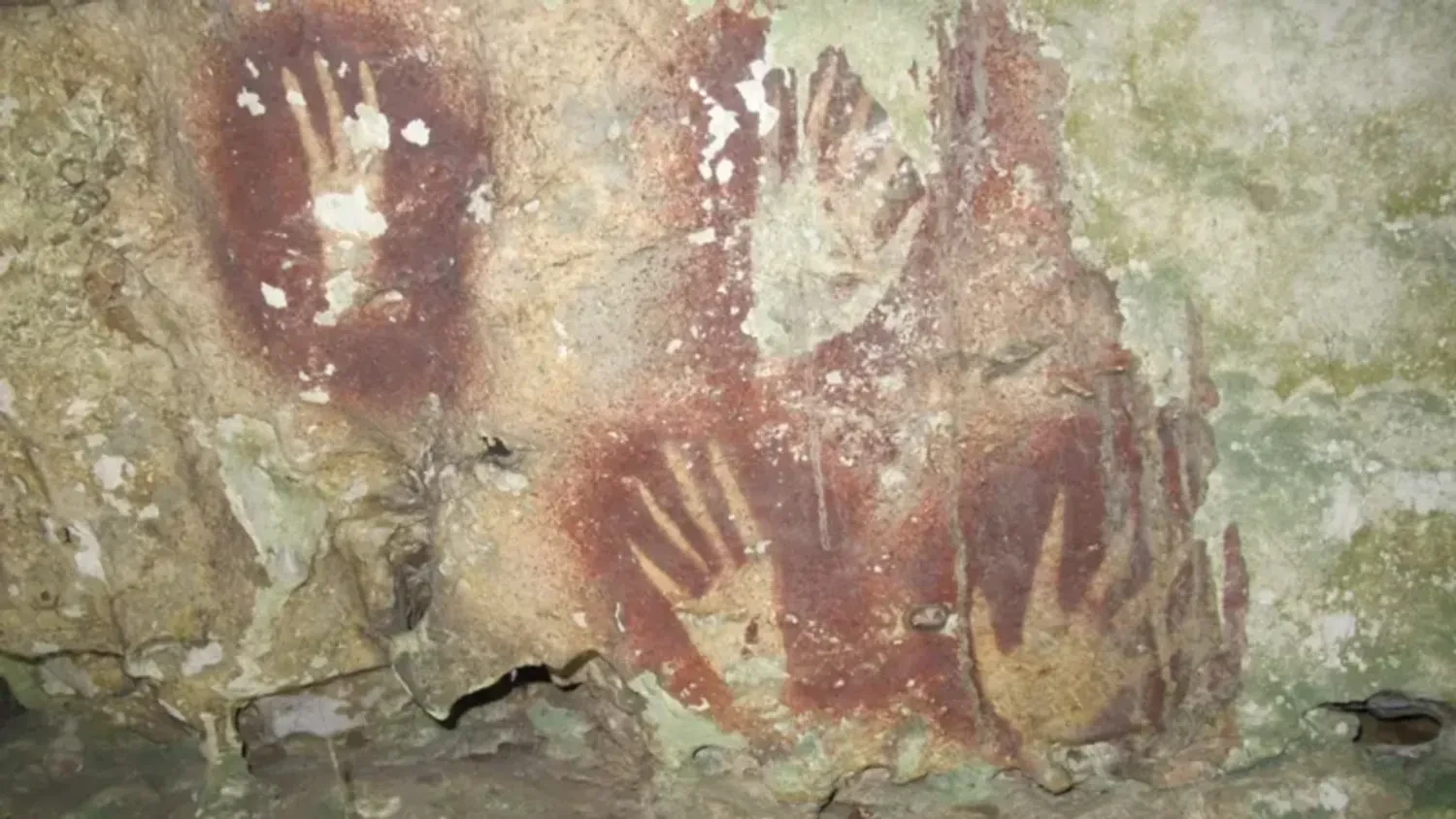 RazomUA - 1,100 years older: the world's oldest rock painting discovered in Indonesia
