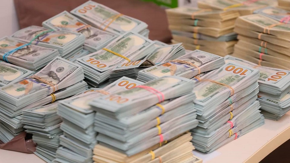 RazomUA - 653 000 дол. у гаражі: ДБР перевіряє декларацію в.о. голови Держекоінспекції