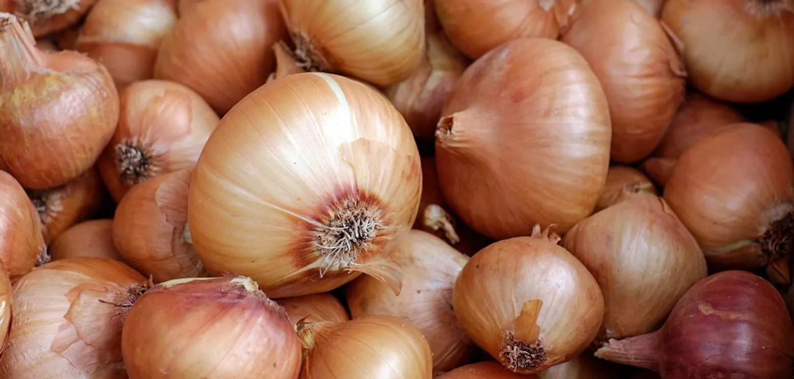 RazomUA - Onions in Ukraine are 40% cheaper than last year. The reason lies in quality.