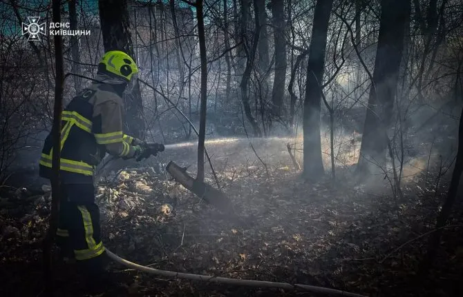 RazomUA - Київщина: пожежі сухої рослинності частішають — ризик для сіл і ресурсів рятувальників