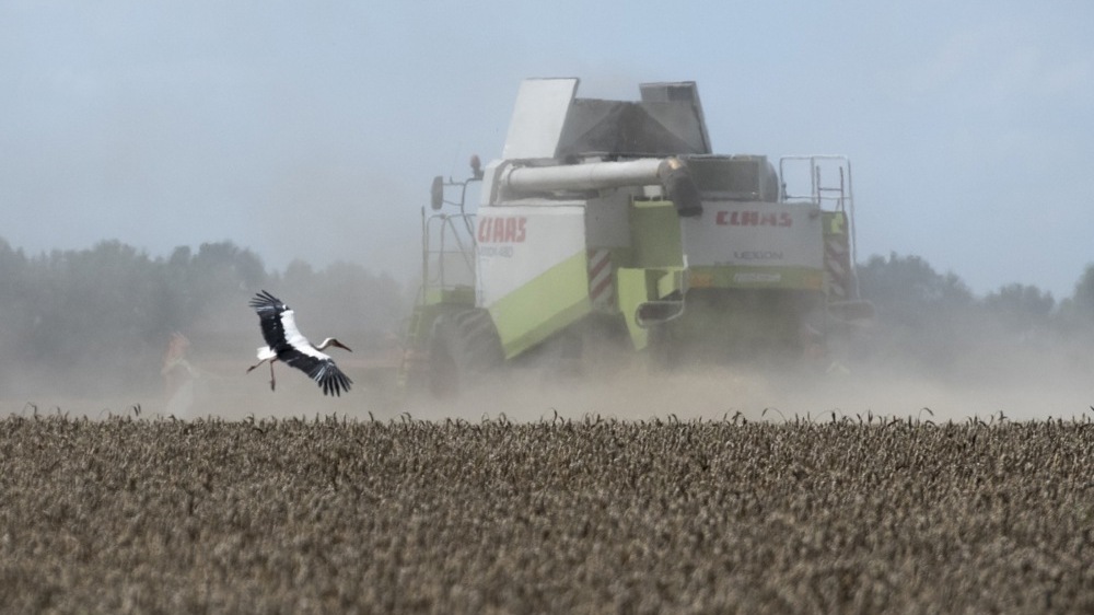RazomUA - Bodenmarkt 2025: Wo Land teurer ist — und warum das für Sicherheit und Investitionen wichtig ist