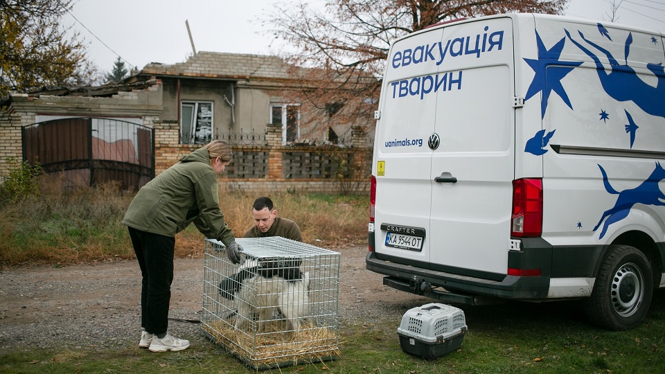 RazomUA - Монетами #PowerCoins назбирали понад 2 млн грн для тварин