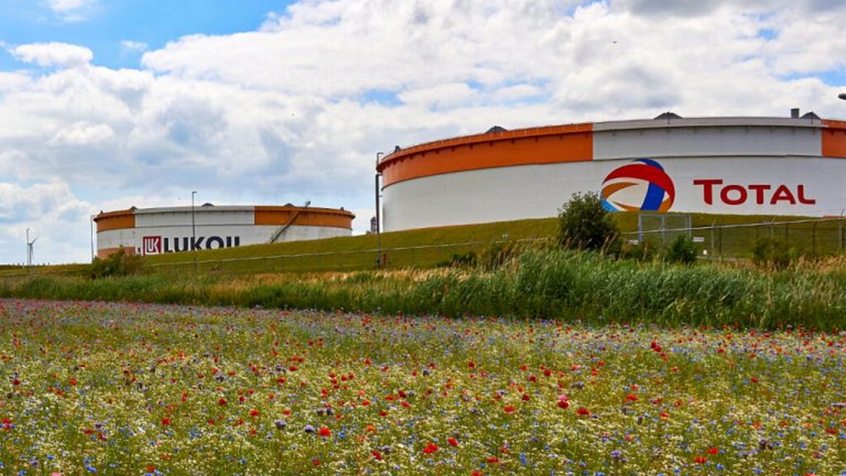 RazomUA - TotalEnergies выкупила долю Лукойла в Zeeland — еще один шаг к вытеснению российского бизнеса с европейского рынка