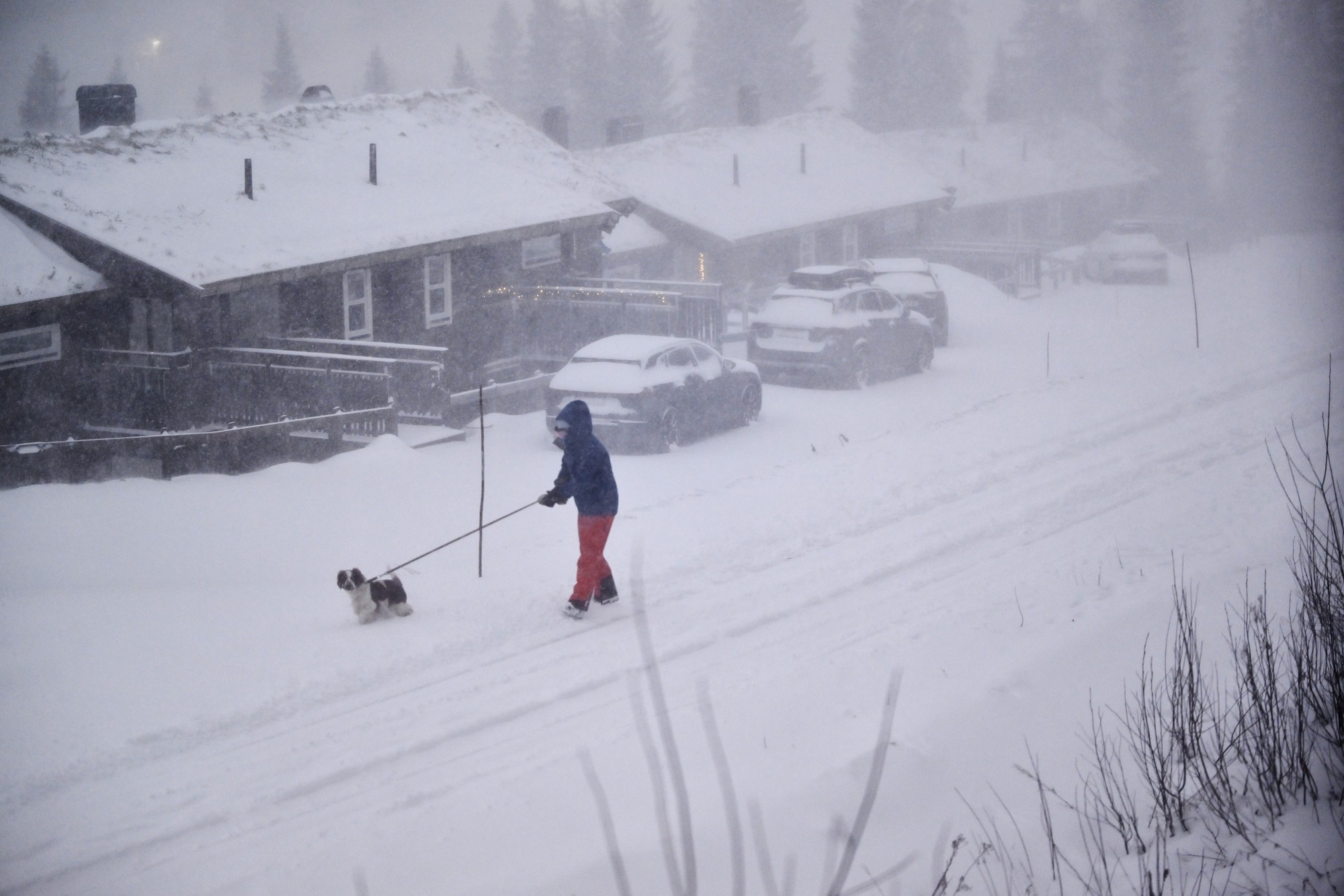 RazomUA - Storm Johannes and winter disruptions in the U.S.: snow, power outages and thousands of canceled flights — what's next?