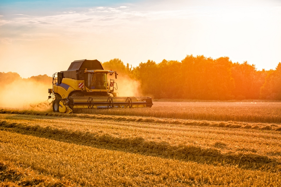 RazomUA - Ukraines Wirtschaft wuchs im 3. Quartal 2025 um 2,1 %